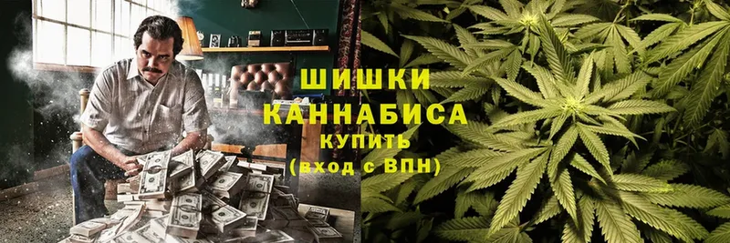 Сколько стоит Нововоронеж АМФЕТАМИН  MDMA  Alpha PVP  Гашиш  Псилоцибиновые грибы  Канабис  Кокаин 